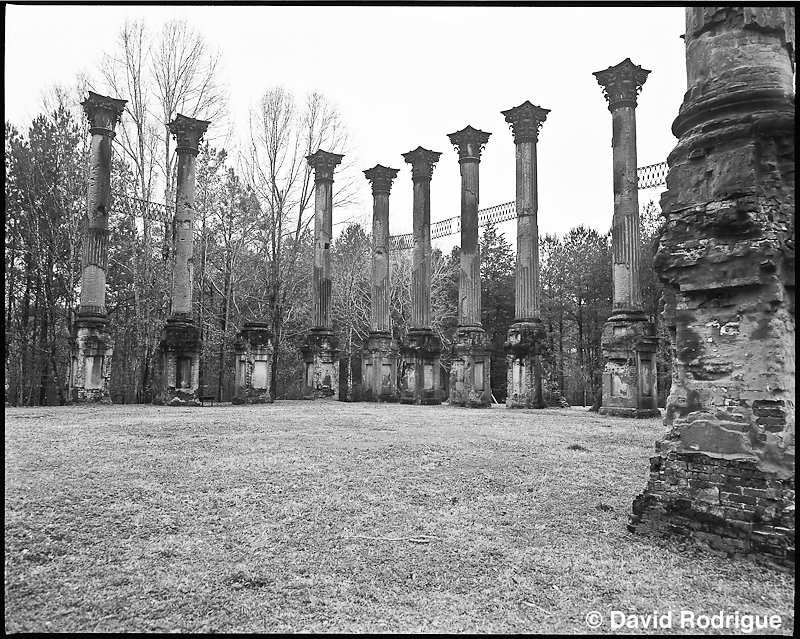 Windsor Ruins, MS